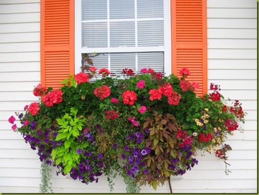 Window Boxes - Just a Girl Blog